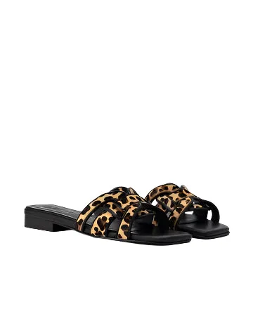 Dansi Flats