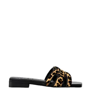 Dansi Flats