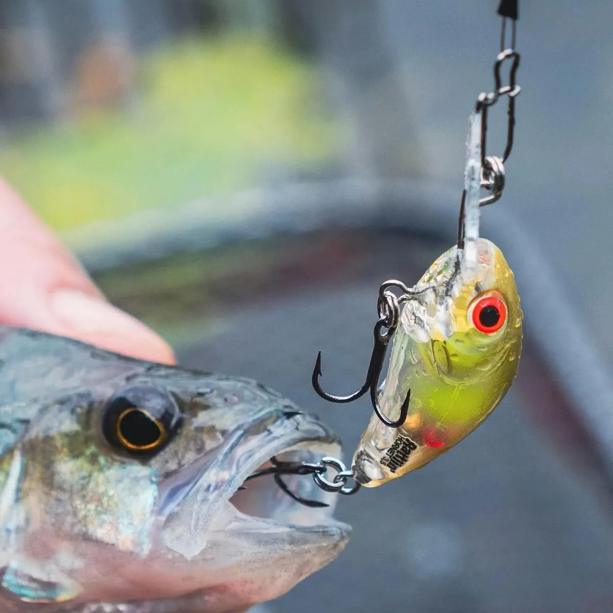 Salmo Rattlin' Hornet Lure